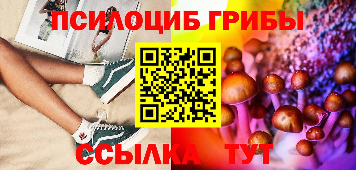 Галлюциногенные грибы Cubensis Кызыл