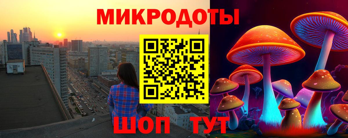 Кызыл  Псилоцибиновые грибы Psilocybe  Вход с VPN  Псилоцибиновые грибы GOLDEN TEACHER 